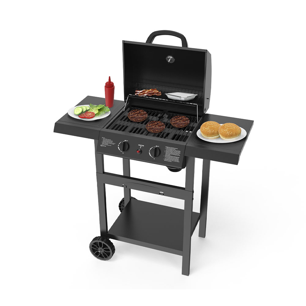Bild von Gasgrill EasyFire 2 Brenner